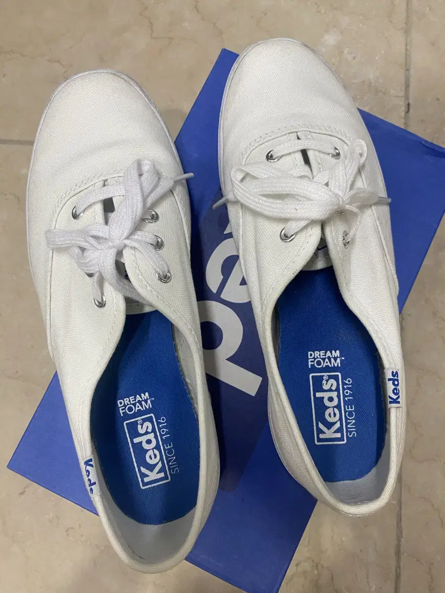 [keds] 케즈 챔피온 화이트 / 220